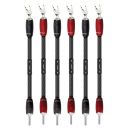 AudioQuest Dragon TriWire Jumpers