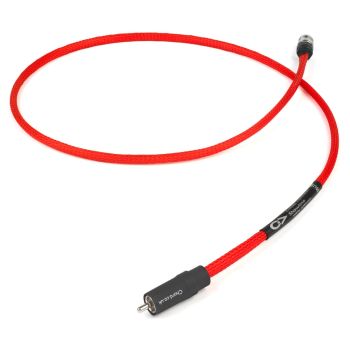 Chord Shawline Digital Solid