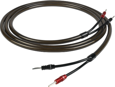 Chord Epic X speaker cable